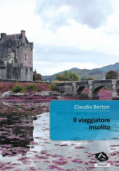 trama del libro Il viaggiatore insolito